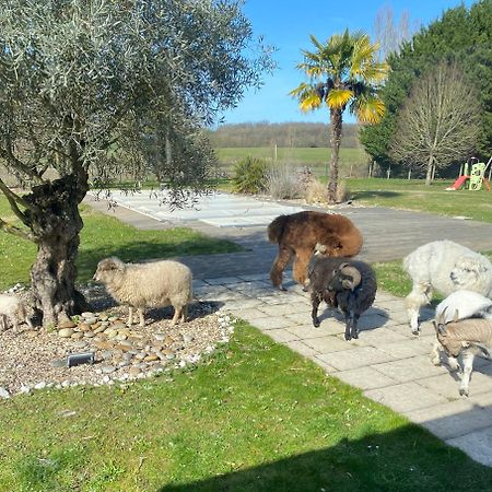 Le Truc Bidule Ξενοδοχείο Murs  Εξωτερικό φωτογραφία